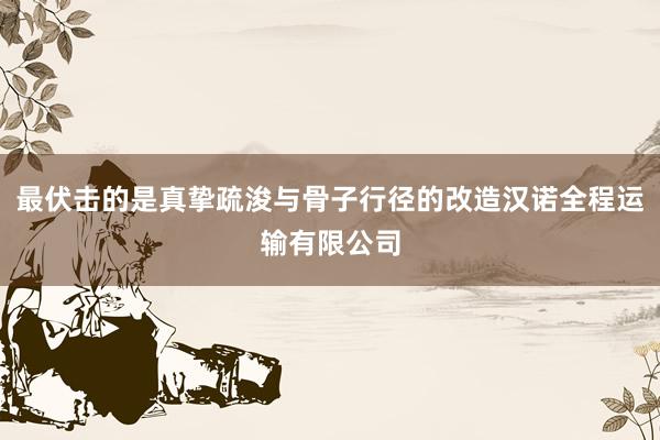最伏击的是真挚疏浚与骨子行径的改造汉诺全程运输有限公司